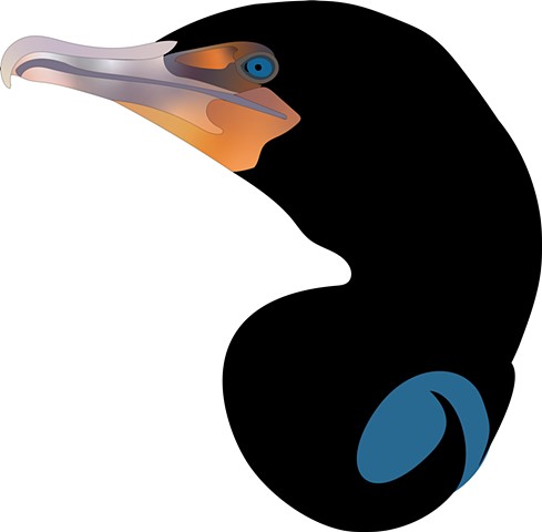 Cormorant Head