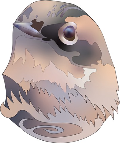 Warbler Head