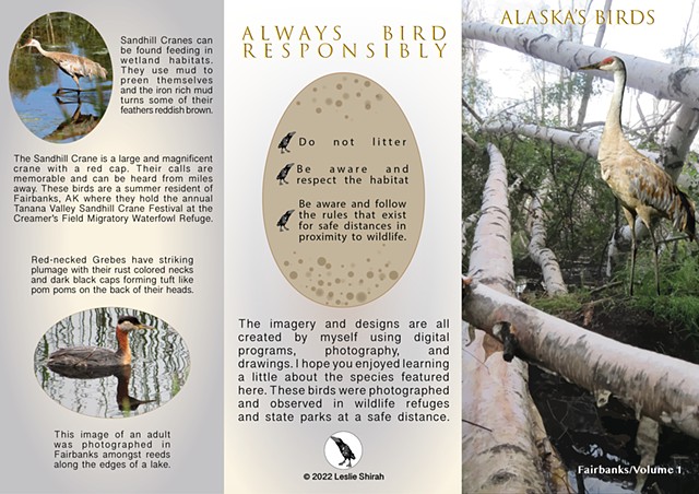 Tri-fold Brochure Alaska's Birds Fairbanks/Volume 1 Outside