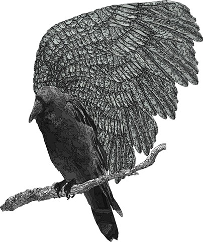 Ravens Wing