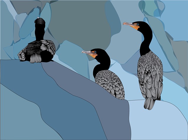 Cormorants on Rocks