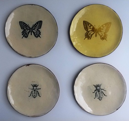 bees and butterflies