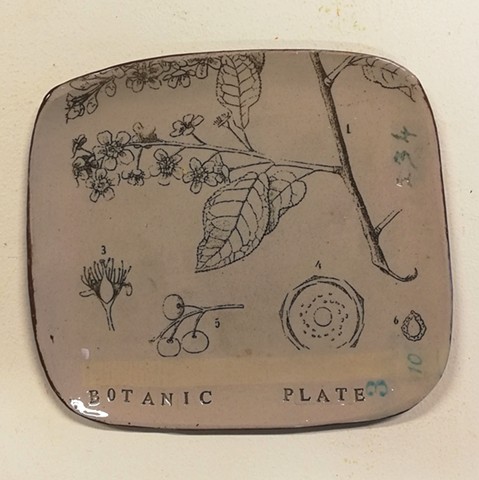 SOLD 2066.botanical plate 