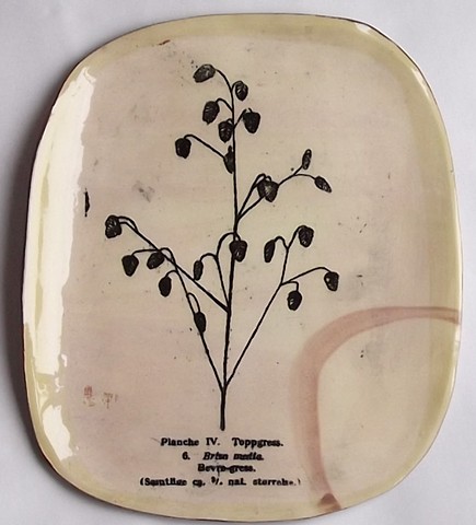 239. botanic platter
