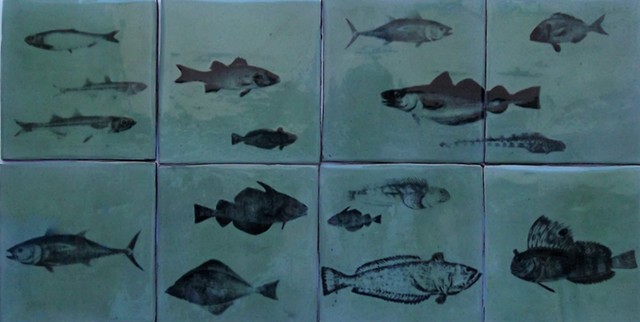 Aquarium tiles