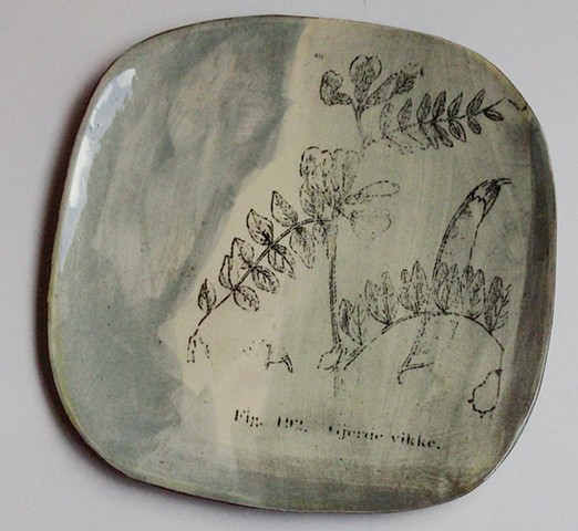 40. Botanical plate