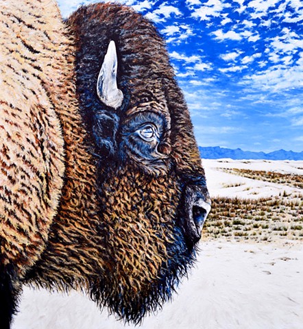 Bison Meets White Sands, NM
