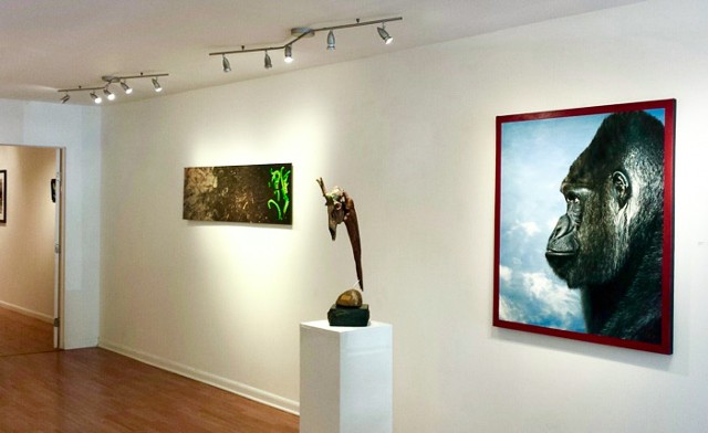"Art Biologic" at Limner Gallery - Hudson, NY