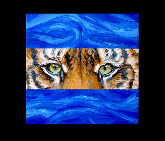 Tiger Stare
