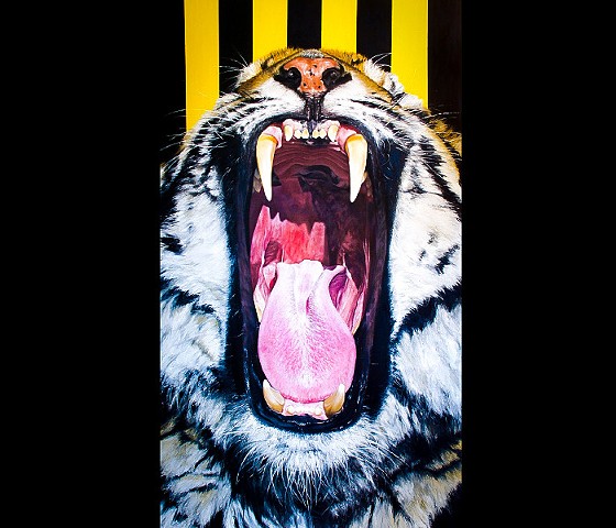 Tiger Mouth/Do Not Enter