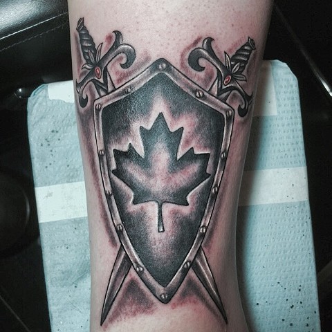 canadian shield 2015