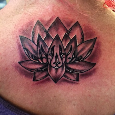 lotus 2015