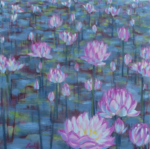 Lotus Pond 