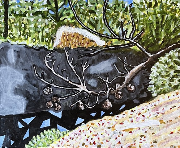 branch