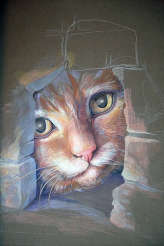 cat stuck named Wallflower by Tanya Shpakow