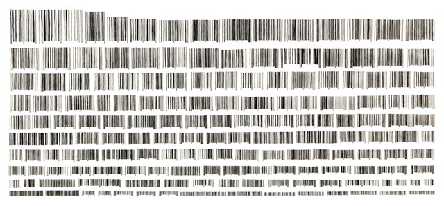 Bar Codes (by descending height)