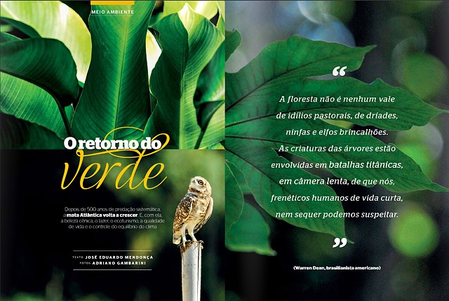 Projeto gráfico para a revista Bravíssima