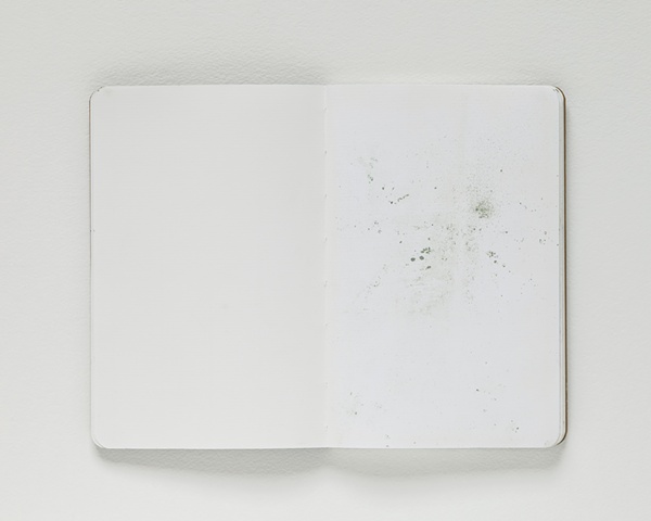 dust works notebook