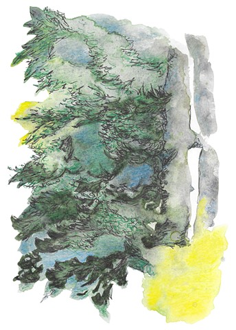 Pines (Lake George Watercolor Series)