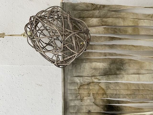 detail- ragweed dyed