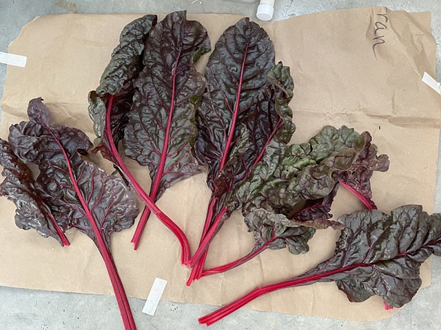 swiss chard
