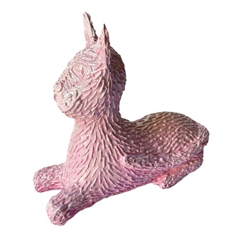 Pink Cat