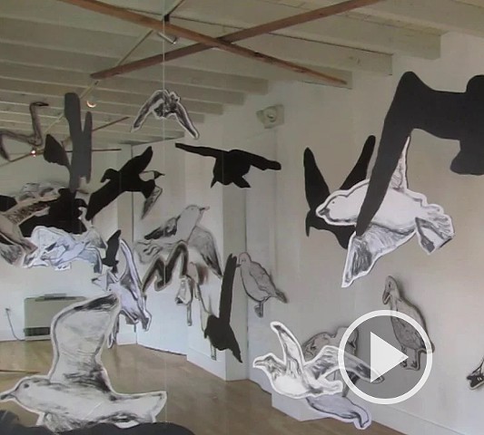 Flock of Seagulls, Provincetown, MA. Cape Cod. Zehra Khan and Tim Winn