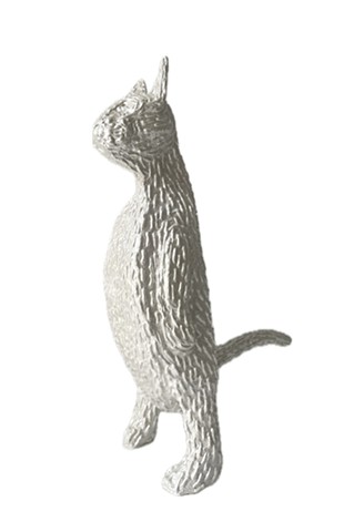standing cat