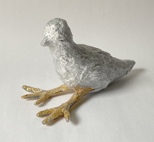 Silver Sitting Pigeon