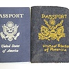 Passport (detail)