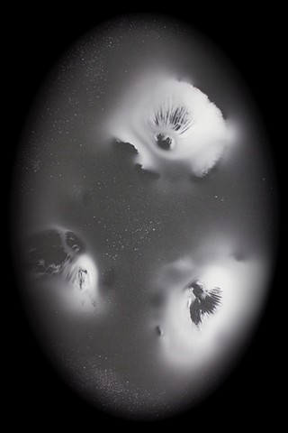 Myco Orb 9