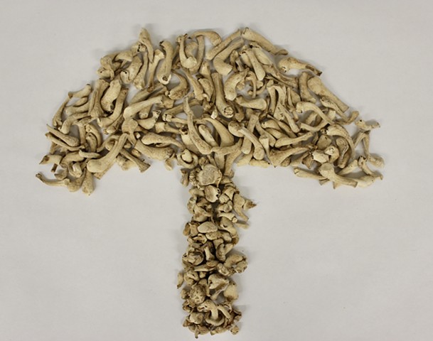 MycoBones #3