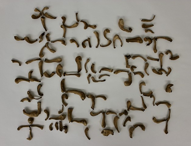MycoBones