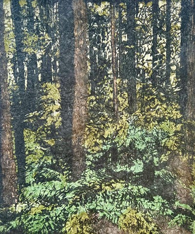 Stepping Out Into the Forest