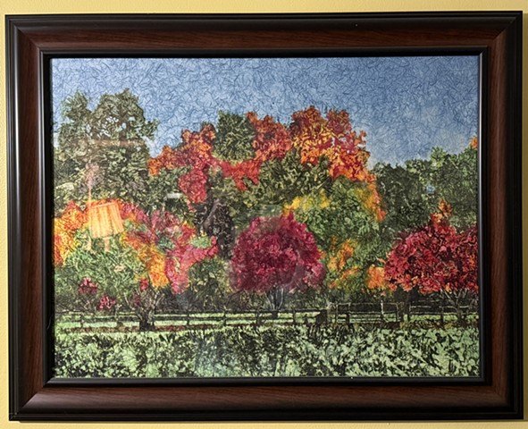 Dog Park in Autumn, Toronto, Canada