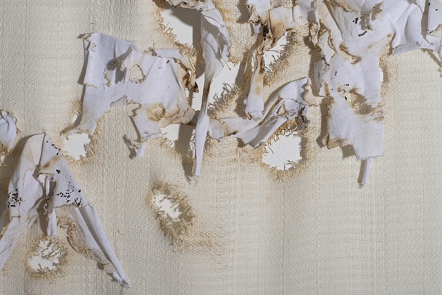 Handwoven cotton, burial shroud, cold case, Jane Doe, unidentified human remains, handweaving, twill derivative, unsolved homicide, Nevada cold case, Thousand Springs Jane Doe