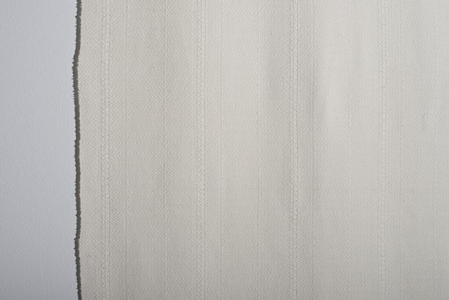Handwoven cotton, burial shroud, cold case, Jane Doe, unidentified human remains, handweaving, twill derivative, unsolved homicide, Nevada cold case, Starr Valley Jane Doe