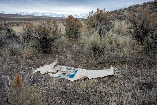 The Shroud of Devil's Gate Jane Doe