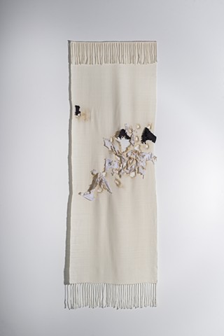 Handwoven cotton, burial shroud, cold case, Jane Doe, unidentified human remains, handweaving, twill derivative, unsolved homicide, Nevada cold case, Thousand Springs Jane Doe