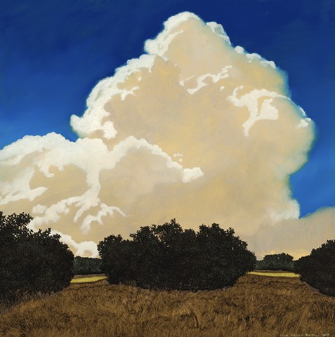 Sean William randall landscape painting artist