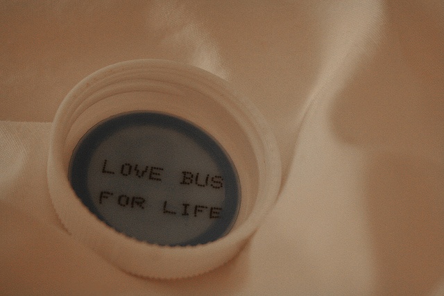 Love Bus For Life
