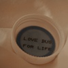 Love Bus For Life