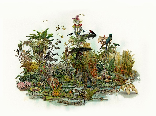 Ben Blatt Limited Edition Print Tropic Tortuguero Bird Flora Fauna Botanical