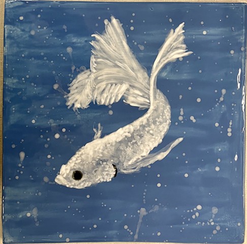 Siamese Fighting Fish VIII