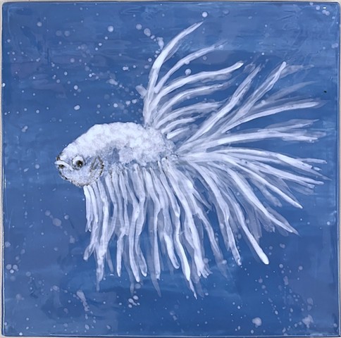 Siamese Fighting Fish X