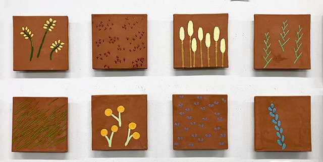 Desert Flowers