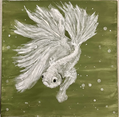 Siamese Fighting Fish IX