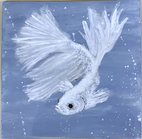 Siamese Fighting Fish XIV