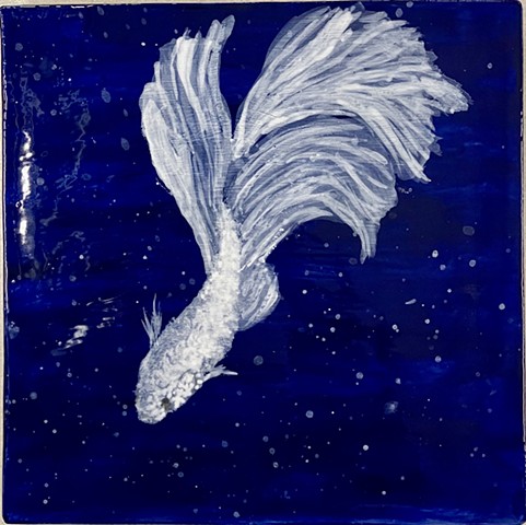 Siamese Fighting Fish IV
