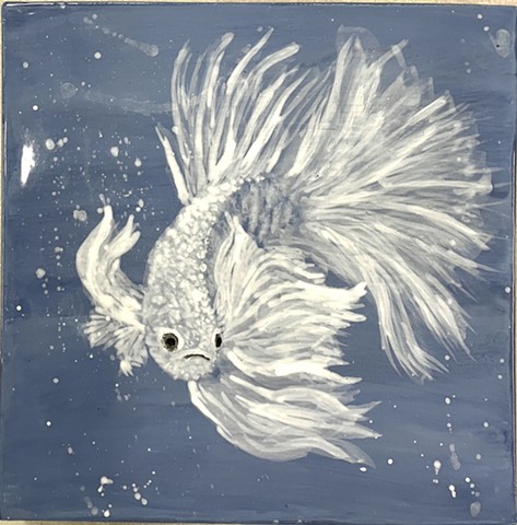 Siamese Fighting Fish III